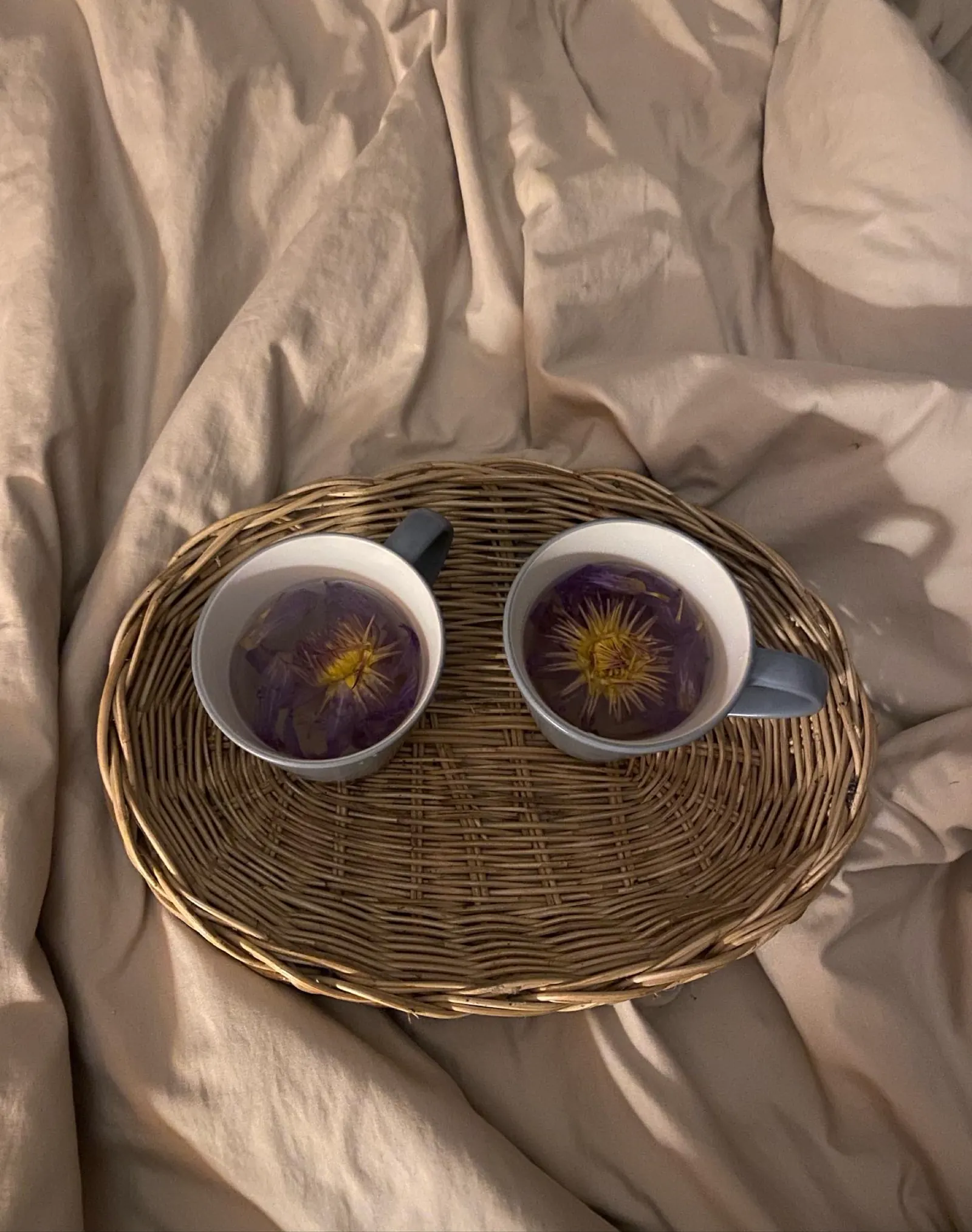 Blue lotus tea in two mugs.